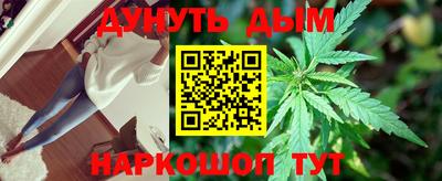 a pvp Камышлов
