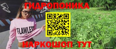spice Кандалакша